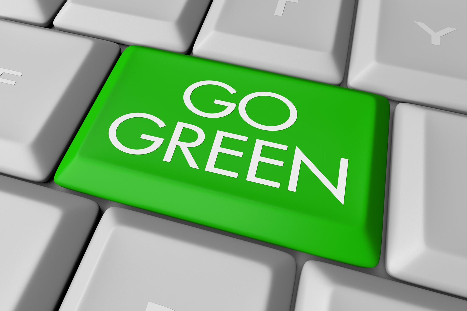 Can My Company Afford to Go Green