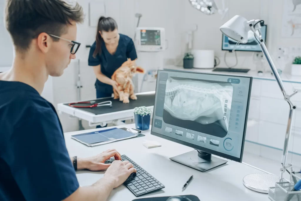 Key Considerations When Renovating, Buying, or Building a Vet Facility