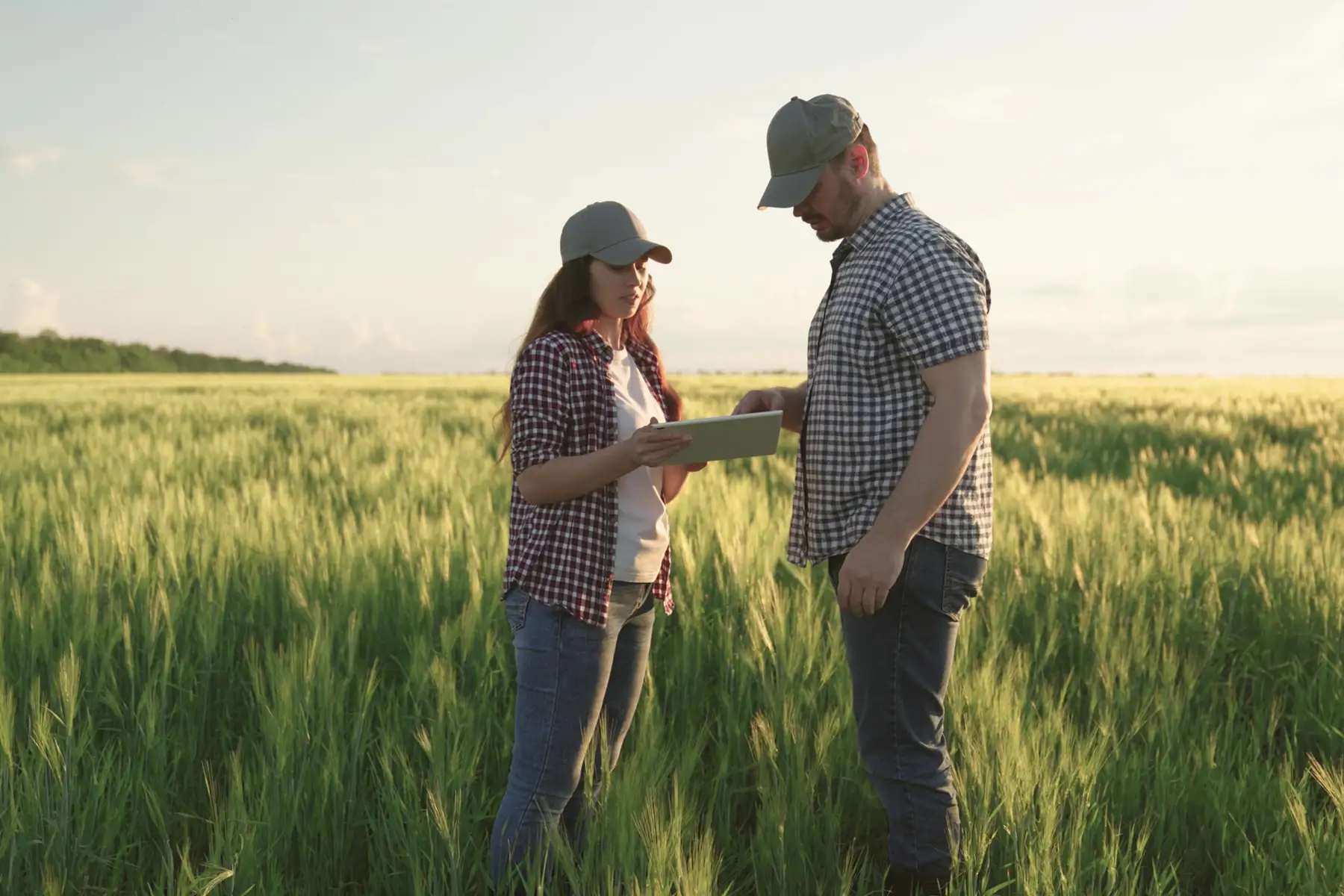 Tax Incentives for Farmers in New York State