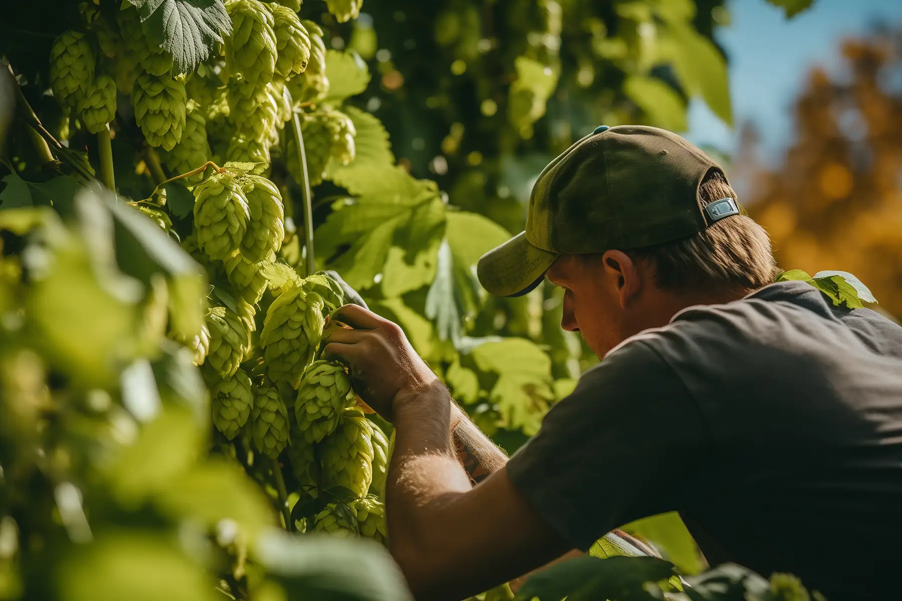 From Seed to Savings: 9 Tax Incentives for New York State Farms